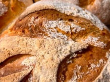 Satu Muscelean - cazare Rucar - Bran (39)