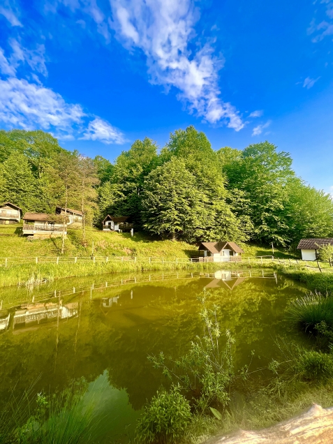 Satu Muscelean - accommodation in  Rucar - Bran (Surrounding)