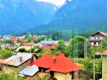 House Bran - alloggio in  Valle di Prahova (103)