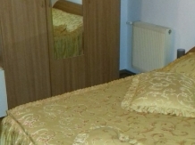 Pensiunea Sura Orastie - accommodation in  Transylvania (11)
