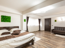 Royal Rado Villa Premium - accommodation in  Rucar - Bran, Moeciu (16)