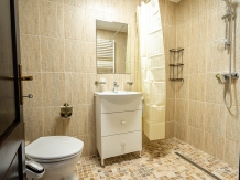 Royal Rado Villa Premium - accommodation in  Rucar - Bran, Moeciu (28)