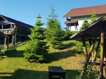 Pensiunea Nedeia - accommodation in  Bucovina (15)