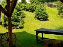 Pensiunea Nedeia - accommodation in  Bucovina (17)