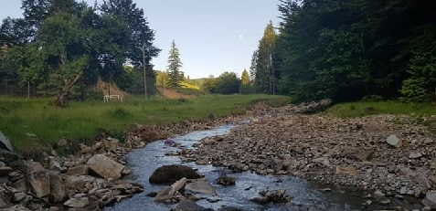 Pensiunea Nedeia - accommodation in  Bucovina (Surrounding)