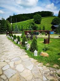 Pensiunea Nedeia - alloggio in  Bucovina (Attivit&agrave; e i dintorni)