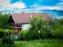 Pensiunea Erik Olanesti - accommodation in  Oltenia (01)