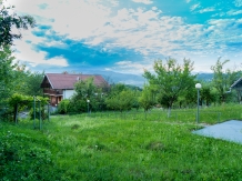 Pensiunea Erik Olanesti - accommodation in  Oltenia (02)