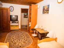 Pensiunea Erik Olanesti - accommodation in  Oltenia (12)