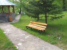 Casa De Langa Lac - accommodation in  Valea Doftanei (03)