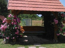 Cabana Rastolita - alloggio in  Transilvania (08)