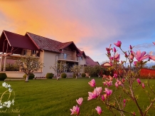 Orchard Villa Brasov - alloggio in  Vallata di Brasov (78)