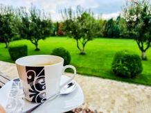 Orchard Villa Brasov - alloggio in  Vallata di Brasov (79)