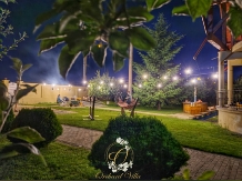 Orchard Villa Brasov - alloggio in  Vallata di Brasov (90)
