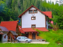 Pensiunea Liliana Cheile Dâmbovicioarei - accommodation in  Piatra Craiului (03)