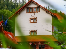Pensiunea Liliana Cheile Dâmbovicioarei - accommodation in  Piatra Craiului (05)