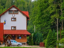 Pensiunea Liliana Cheile Dâmbovicioarei - accommodation in  Piatra Craiului (07)