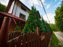 Pensiunea Liliana Cheile Dâmbovicioarei - accommodation in  Piatra Craiului (08)