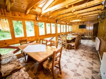 Pensiunea Liliana Cheile Dâmbovicioarei - accommodation in  Piatra Craiului (15)