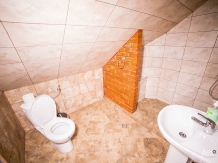 Pensiunea Liliana Cheile Dâmbovicioarei - accommodation in  Piatra Craiului (30)