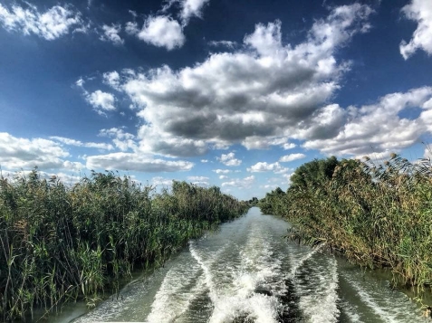 Casa Roa - accommodation in Danube Delta (Surrounding) Casa Roa - accommodation in Danube Delta (Surrounding)