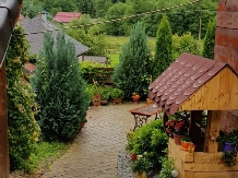 Pensiunea Casa Motilor - accommodation in  Apuseni Mountains (05)