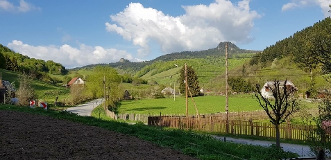 Pensiunea Casa Motilor - accommodation in  Apuseni Mountains (Surrounding)