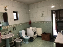 Pensiunea Foisorul Ascuns - accommodation in  Gura Humorului, Bucovina (17)