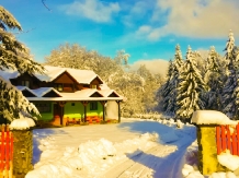 Pensiunea Saratura Cerbilor - accommodation in  Fagaras and nearby (24)