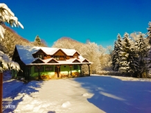 Pensiunea Saratura Cerbilor - accommodation in  Fagaras and nearby (25)