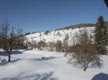 Pensiunea Andaluz - alloggio in  Gura Humorului, Bucovina (52)