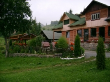 Pensiunea Arinis - alloggio in  Bistrita (01)