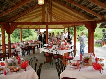 Pensiunea Arinis - alloggio in  Bistrita (04)