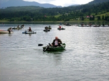 Pensiunea Arinis - alloggio in  Bistrita (08)