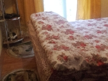 Pensiunea Paradis - accommodation in  Banat (10)