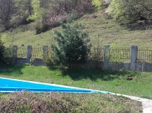 Casa Paradis - cazare Banat (33)