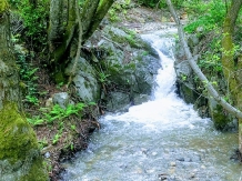 Pensiunea Paradis - alloggio in  Banat (34)