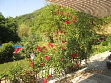Casa Paradis - cazare Banat (35)