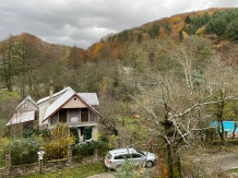 Casa Paradis - cazare Banat (40)
