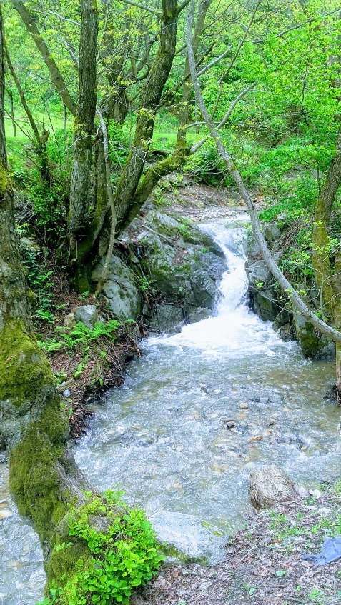 Pensiunea Paradis - alloggio in  Banat (Attivit&agrave; e i dintorni)