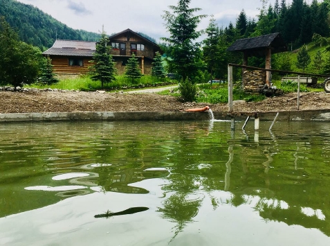 Pensiunea Stanistea Cerbilor - alloggio in Gura Humorului, Bucovina (Attività e i dintorni) Pensiunea Stanistea Cerbilor - alloggio in Gura Humorului, Bucovina (Attività e i dintorni)