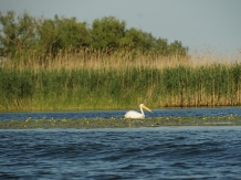 Sufletul Deltei - accommodation in  Danube Delta (11)