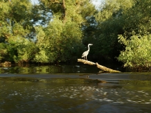 Sufletul Deltei - accommodation in  Danube Delta (12)