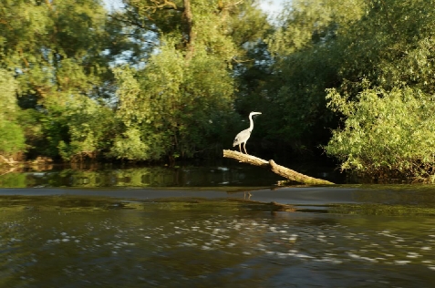 Sufletul Deltei - accommodation in  Danube Delta (Surrounding)