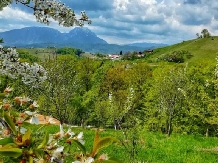 Cabana Cristalul Muntilor - alloggio in  Piatra Craiului (10)