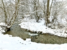 Rainbow Guesthouse - alloggio in  Rucar - Bran, Moeciu, Bran (56)