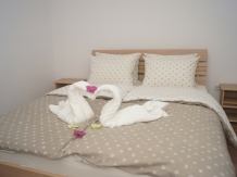 Pensiunea Sophia - accommodation in  Transylvania (04)