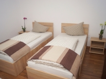 Pensiunea Sophia - accommodation in  Transylvania (07)