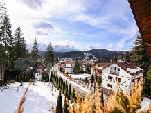 Vila Transilvania - alloggio in  Valle di Prahova (03)