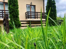 Kate House - accommodation in  Rucar - Bran, Moeciu (11)